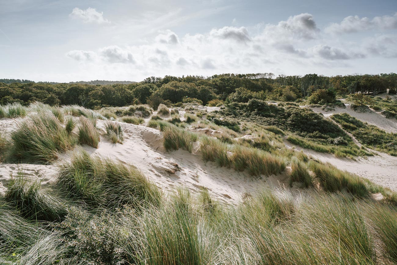 Nationalpark Zuid-Kennemerland